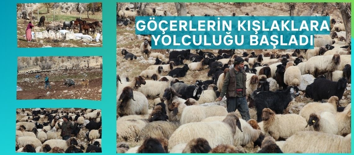 Göçerlerin kışlaklara yolculuğu başladı