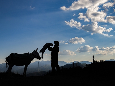 Tunceli yaylaları göçerleri ağırlıyor