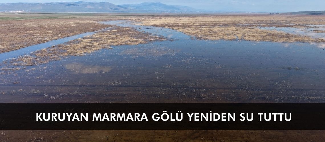 Kuruyan Marmara Gölü yeniden su tuttu