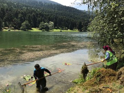 Gölcük Tabiat Parkı'nda temizlik