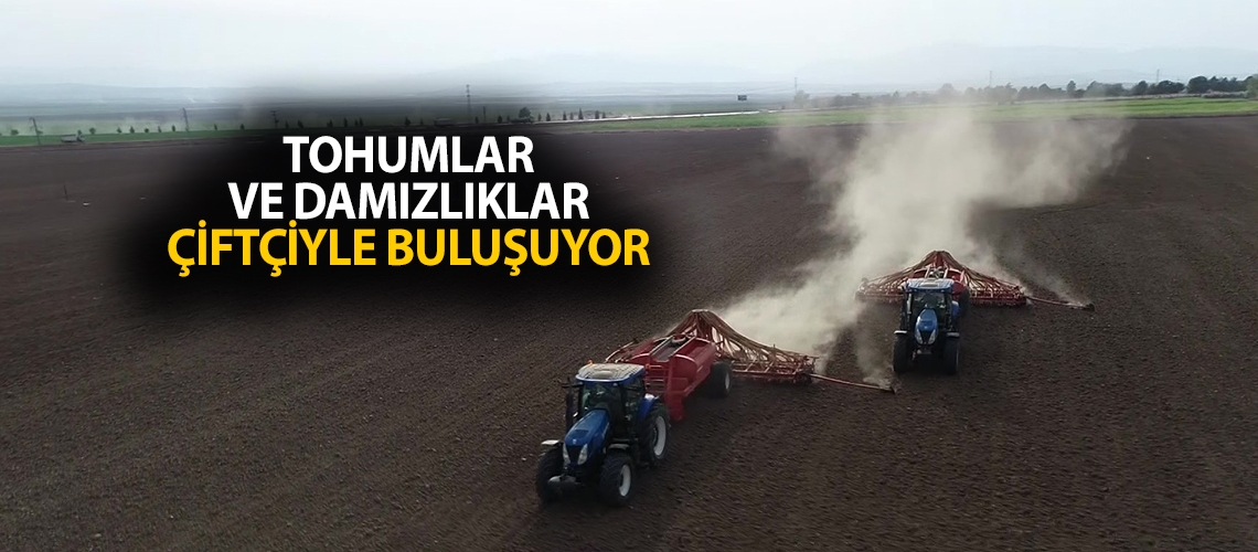 Tohumlar ve damızlıklar çiftçiyle buluşuyor