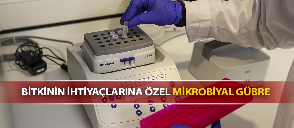 Bitkinin ihtiyaçlarına özel mikrobiyal gübre