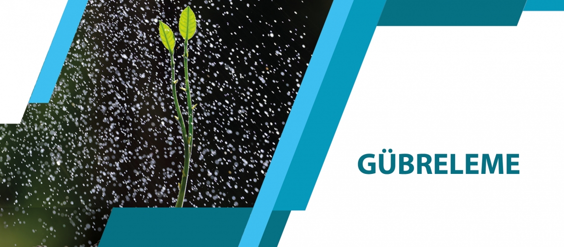GÜBRELEME