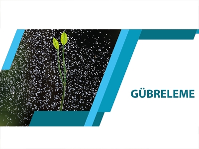 GÜBRELEME