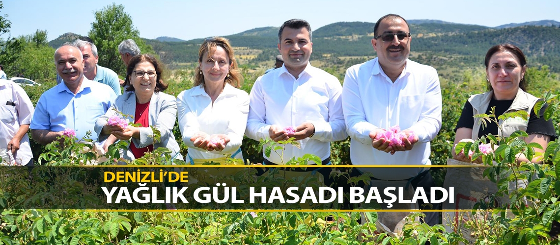 Denizli’de yağlık gül hasadı başladı