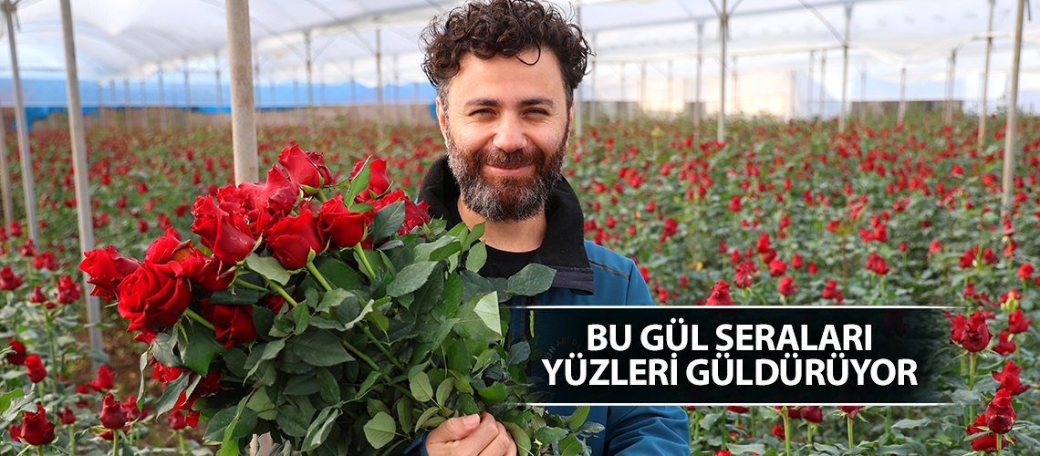 Bu gül seraları yüzleri güldürüyor
