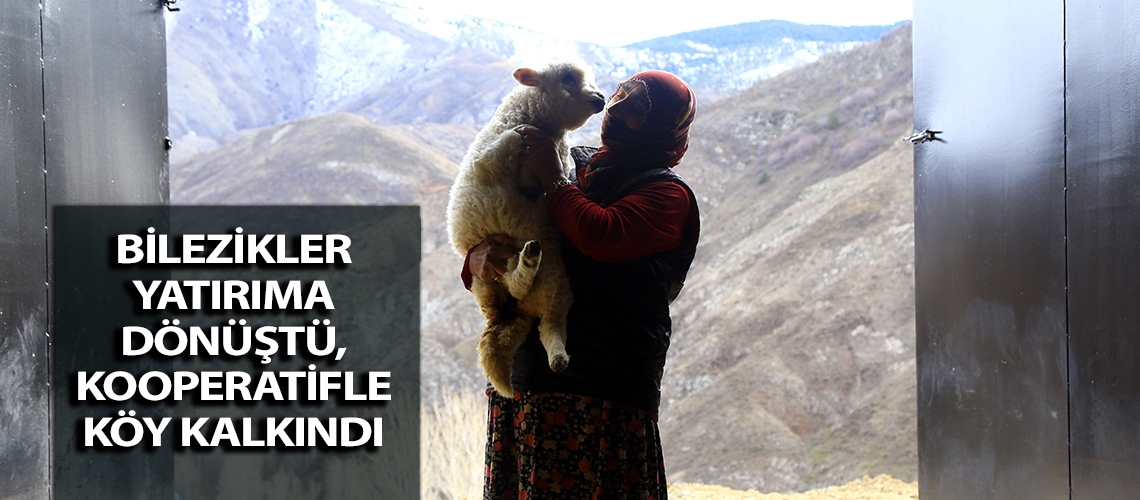 Bilezikler yatırıma dönüştü, kooperatifle köy kalkındı