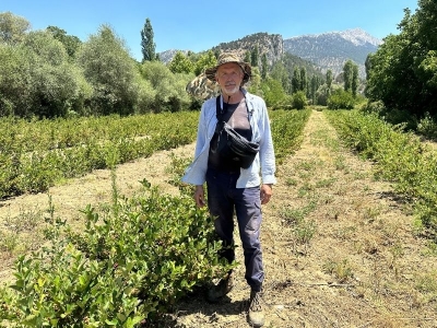 Avusturalya’dan yurda döndü, aronya üretimine başladı
