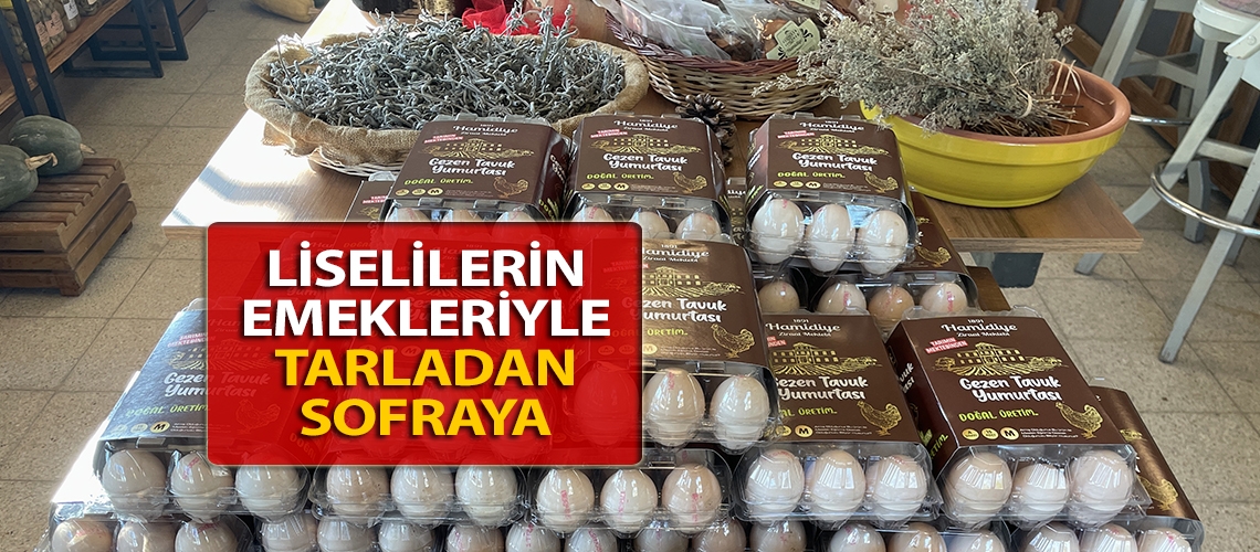 Liselilerin emekleriyle tarladan sofraya