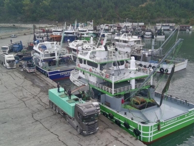 Sinoplu balıkçılar limana tonlarca hamsiyle döndü