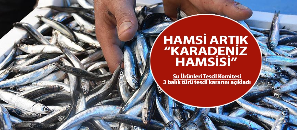 Hamsi artık “Karadeniz hamsisi”