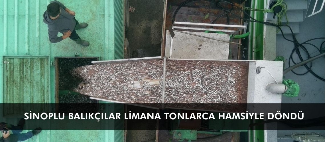 Sinoplu balıkçılar limana tonlarca hamsiyle döndü