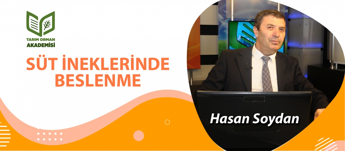 SÜT İNEKLERİNDE BESLENME