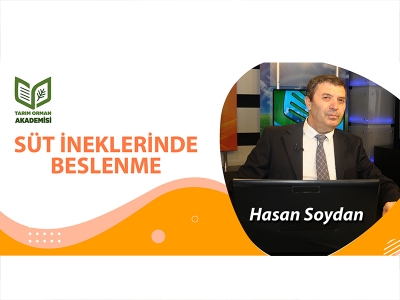 SÜT İNEKLERİNDE BESLENME