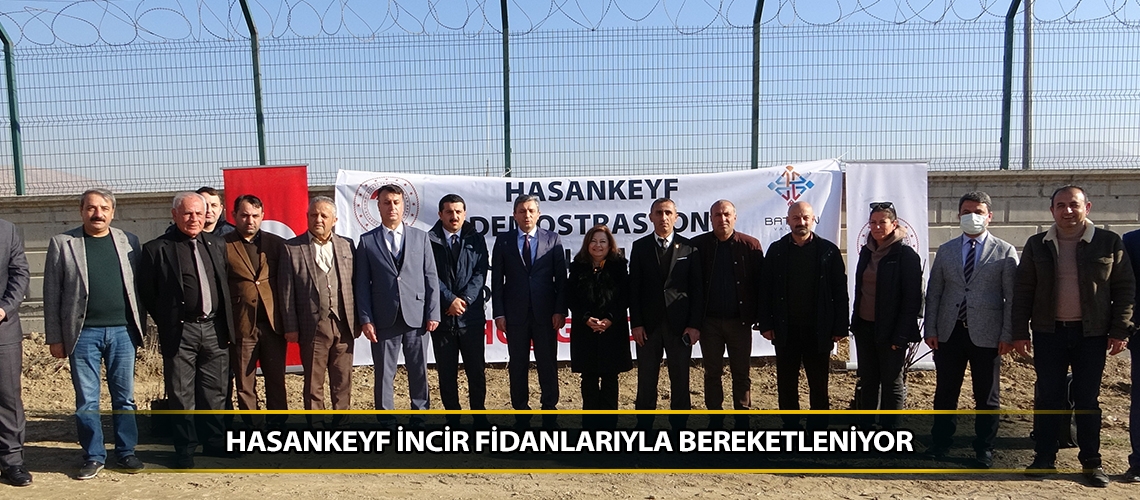 Hasankeyf incir fidanlarıyla bereketleniyor
