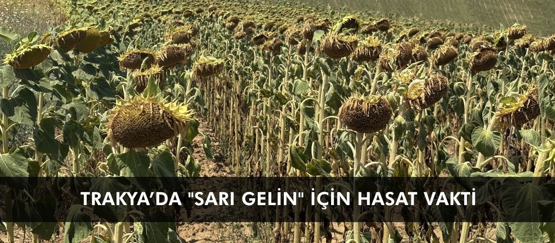 Trakya’da 