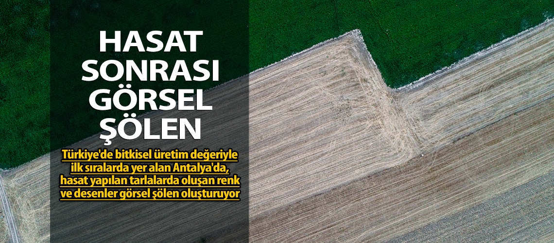Hasat sonrası görsel şölen