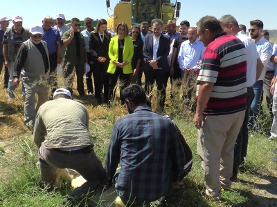 Nevşehir’de ilk hasat bereketli başladı