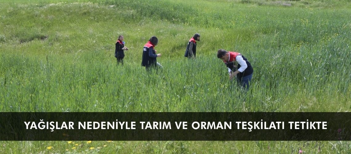 Yağışlar nedeniyle tarım ve orman teşkilatı tetikte