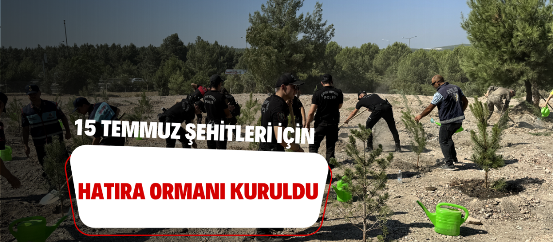 15 Temmuz şehitleri için hatıra ormanı kuruldu