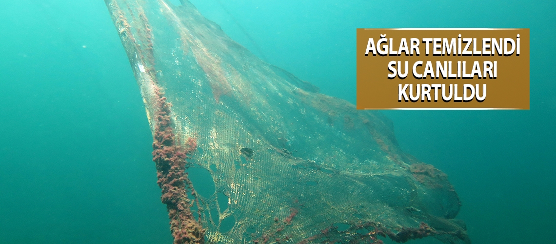 Ağlar temizlendi su canlıları kurtuldu
