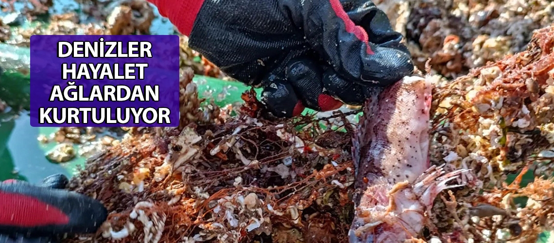 Denizler hayalet ağlardan kurtuluyor