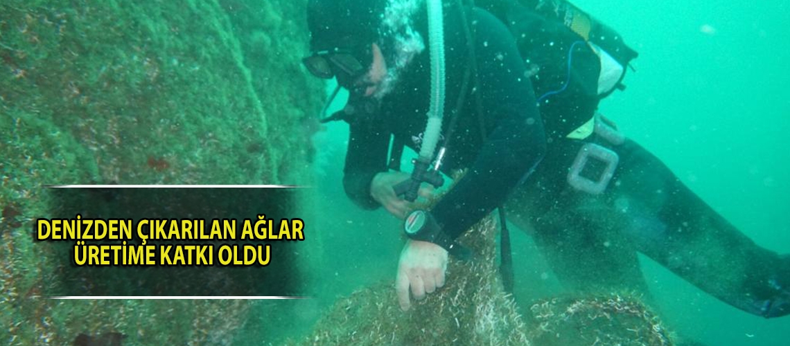 Denizden çıkarılan ağlar üretime katkı oldu