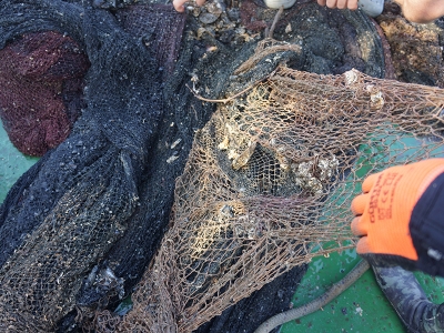 Marmara hayalet ağlardan kurtuluyor