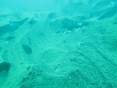 Ağlar temizlendi su canlıları kurtuldu