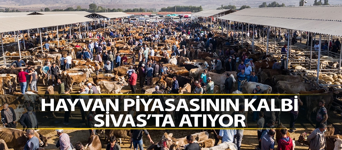 Hayvan piyasasının kalbi Sivas’ta atıyor