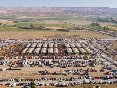 Hayvan piyasasının kalbi Sivas’ta atıyor