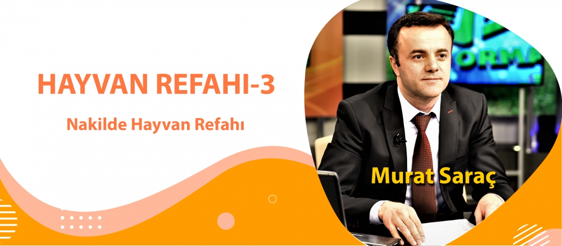 HAYVAN REFAHI -3 ( Nakilde Hayvan Refahı )