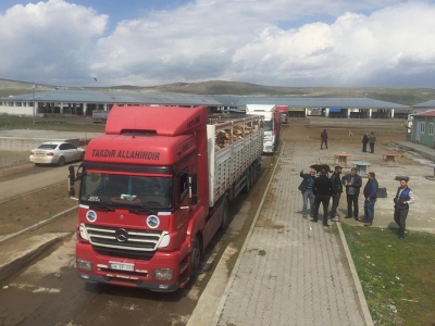 Kars’tan hayvan sevkiyatı başladı