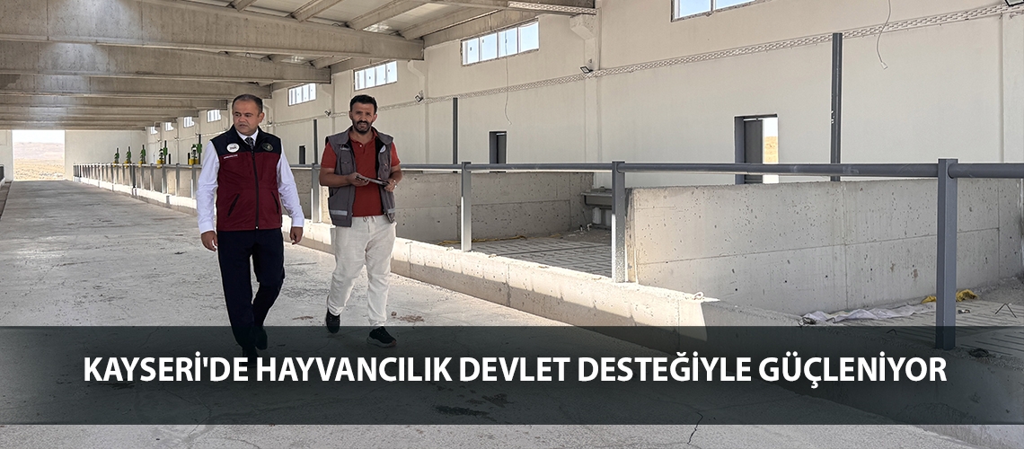 Kayseri'de hayvancılık devlet desteğiyle güçleniyor