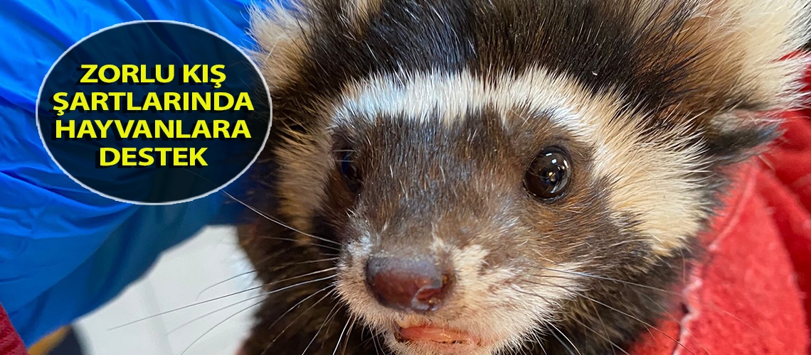 Zorlu kış şartlarında hayvanlara destek