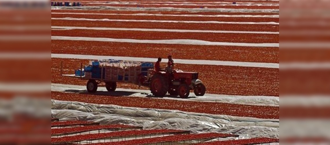 İş Sağlığı ve Güvenliği Kanun Tasarısı Meclis Gündeminde 