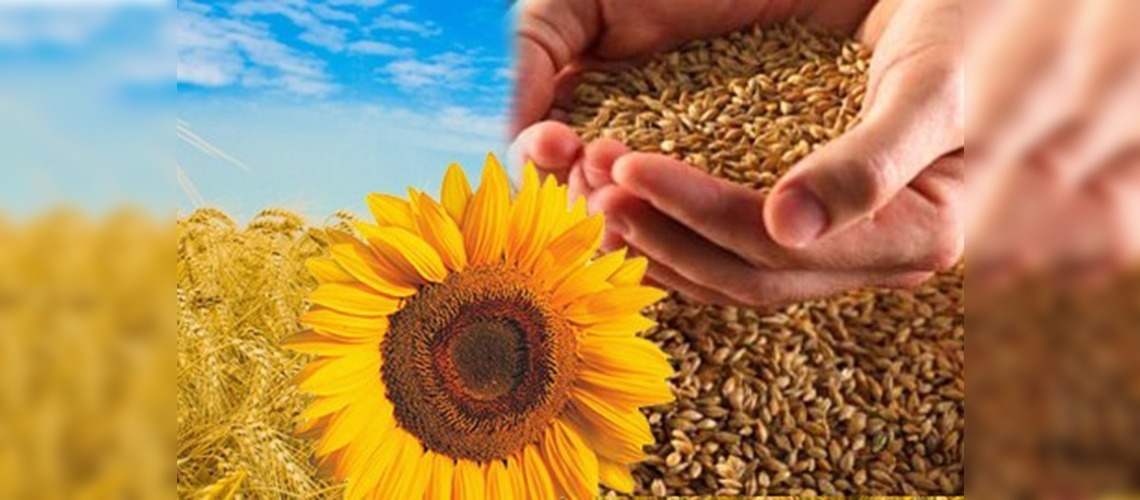 Tarım ve Gıda Ürünleri İhracatında Rekor Artış