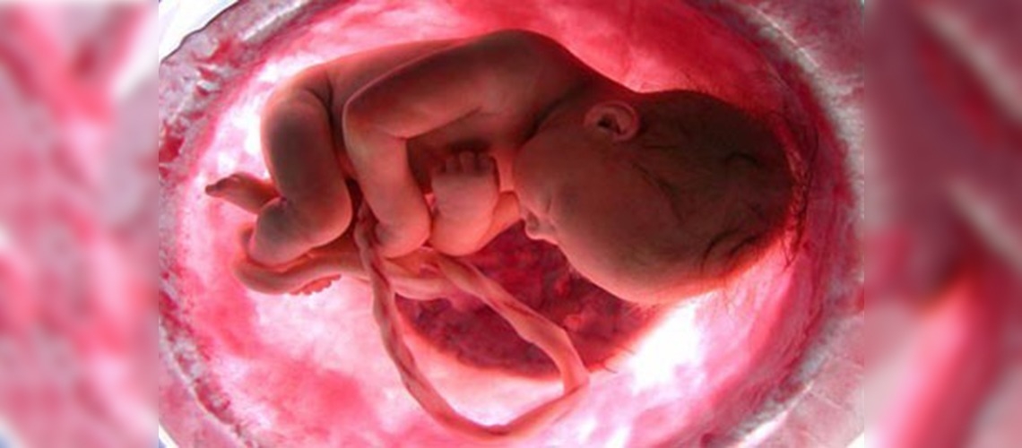 Tarım ilaçları bebek zekasını kötü yönde etkiliyor