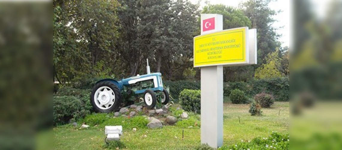 Türkiyenin Bitki Gen Merkezi