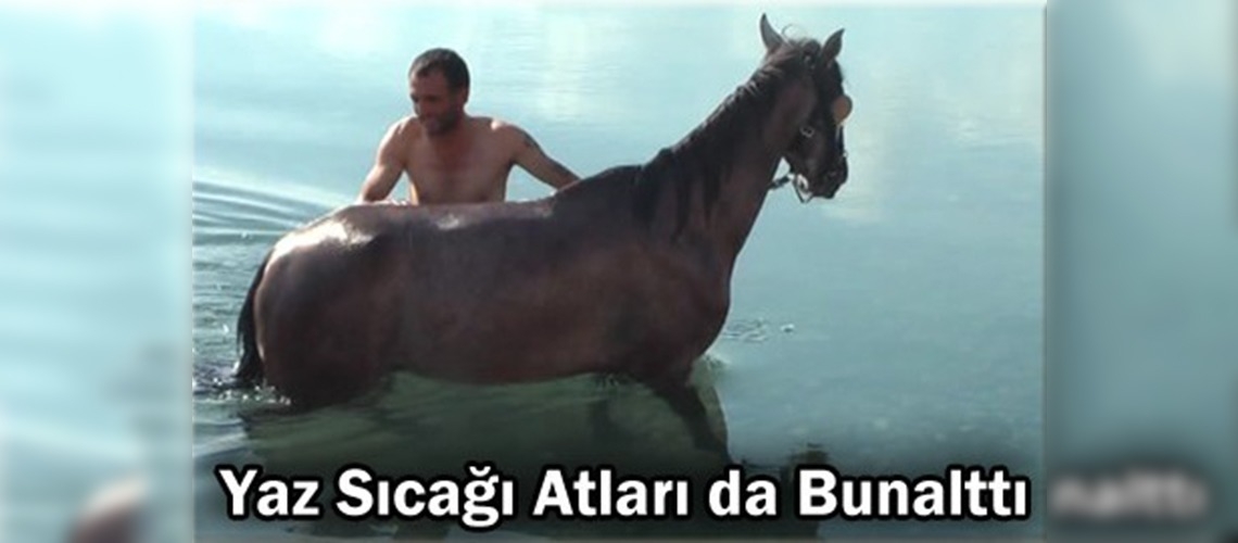Atlarını nehirde serinletiyorlar