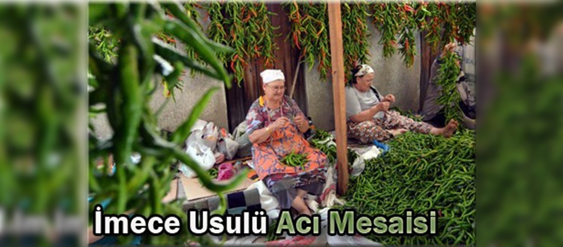 Ciğercilerin acı mesaisi başladı