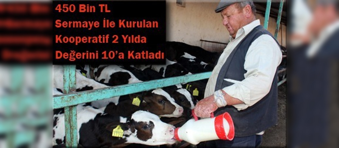 Eskişehirde hayvancılıkta bir başarı öyküsü