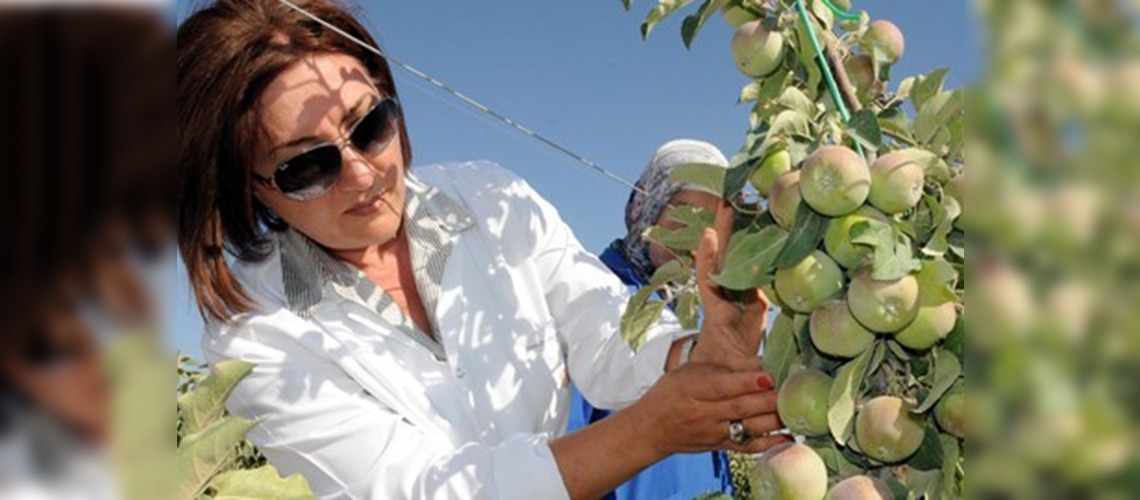 Çorak topraklara kadın eli değdi