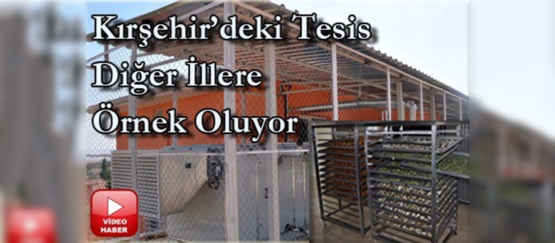 Meyve-sebze jeotermal enerjiyle kurutulacak