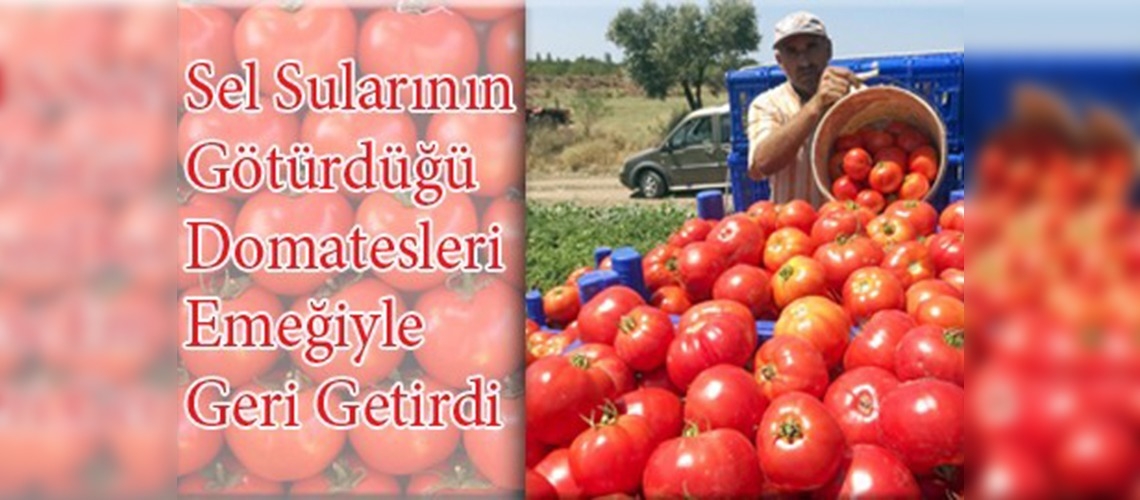 Çanakkaleli üreticinin büyük azmi