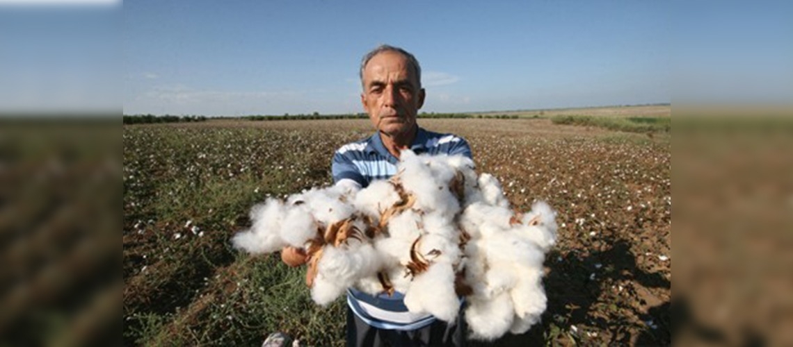 Borsaya 18 yıldır ilk pamuğu o getiriyor