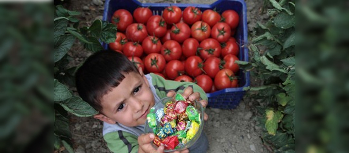 Hasat, bayrama rastlayınca!