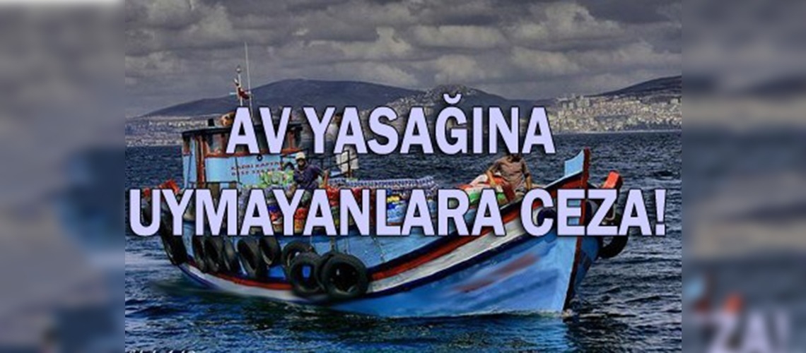 Gırgır ve trol ile balık avlayanlara göz açtırılmıyor!