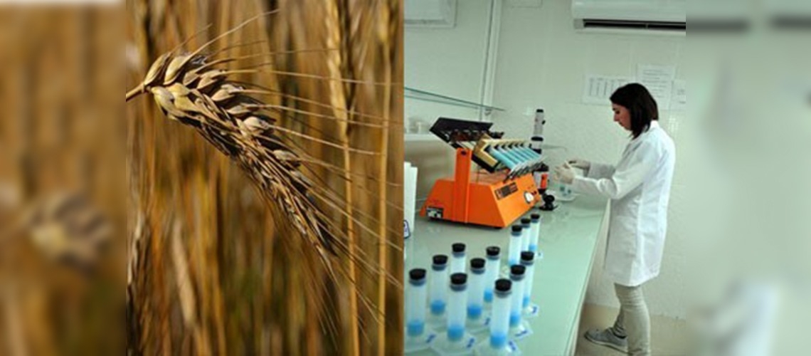 Bu enstitü tohum fabrikası gibi çalışıyor