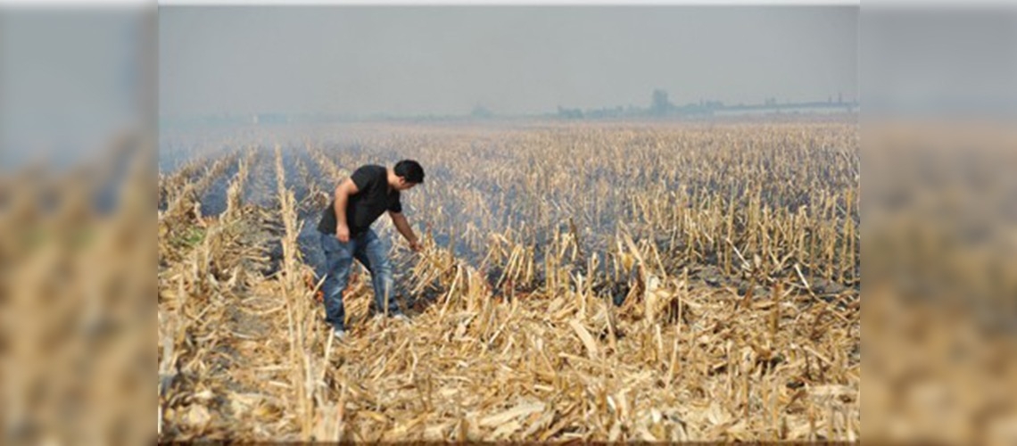Anız yakmak meyve ve sebzelerin tadını bozuyor